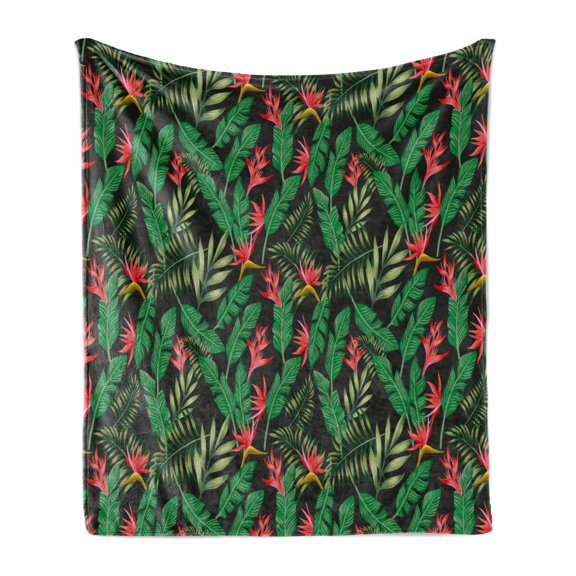 Plants Soft Flannel Fleece Blanket, Natural Theme Exotic Botanical Pattern Along Tropical Palm Leaves and Flowers Motifs, Cozy Plush for Indoor and Outdoor Use, 60" x 80", Multicolor, by Ambesonne