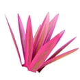 thumbnail image 3 of Agave deja bricolaje metal hierro arte planta estatua decoración del hogar adornos para jardín césped césped, rojo Eigraketly HA004436-06, 3 of 6