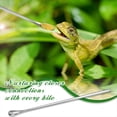 thumbnail image 5 of 2 Uds. Accesorios para Tanque, Pinzas de Alimentación para Reptiles de Acero Inoxidable, Pinzas para Acuario Dragon, Herramienta Alimentadora de Terrario para Tanque, 5 of 5