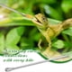 thumbnail image 5 of 2 Uds. Accesorios para Tanque, Pinzas de Alimentación para Reptiles de Acero Inoxidable, Pinzas para Acuario Dragon, Herramienta Alimentadora de Terrario para Tanque, 5 of 6