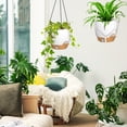 thumbnail image 6 of FIASON 2 Pack 10 Inch White Self-Watering Hanging Planters, Indoor Outdoor Flower Pots with Visual Reservoir, Drainage Holes & 2 Types of Plant Hangers for Garden Home Decor, 6 of 10