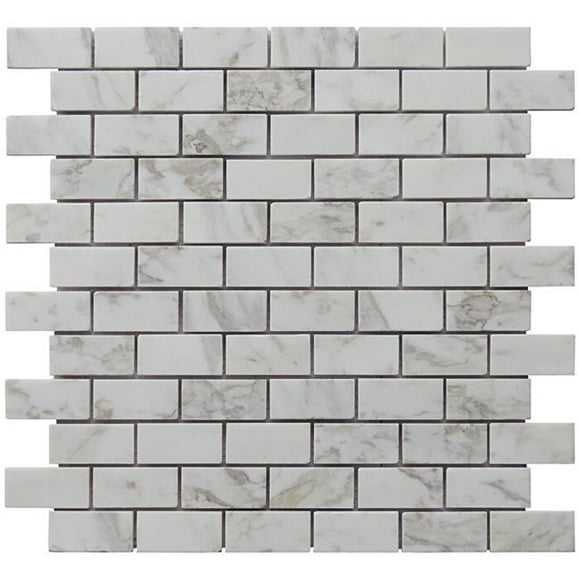 Intrend Tile NS020-C 1 x 2 Po Carrara Pierre Mini Mosaïque de Modèle de Brique