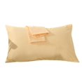 thumbnail image 2 of Bangcool - Juego de 2 fundas de almohada de algodón suave de color liso para el hogar, dormitorio, hotel y viajes, tamaño estándar, 2 of 3