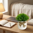 thumbnail image 4 of Small Fake Potted Plant Coffee Table Decor for Living Room, Small Faux Grass Plant in White Ceramic Pot, Home Decor for Kitchen Shelves Office Desk, 4 of 7