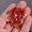 Red, variant on 20pcs 8mm Foil Crystal Glass Petal Loose Pendant Beads lot for Jewellery Making-Light Yellow