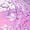 Purple, variant on Toddler Sandles Girls Rubber Sole Closed Toe Princess Summer Shoes for 3.5-4 Years,Red