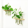 thumbnail image 3 of Test Tube Vase Flower Pot Hydroponic Plants Pots Creative Wall Hanging Terrariums Stand Bud Home Wooden Glass Planter, 3 of 10