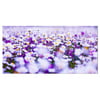 Design Art Daisy Field Photography Panorama Photographic Print on Wrapped Canvas