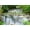 Unframed, variant on Art.com Waterfall in Kanchanaburi Province, Thailand Photographic Print by Pongphan Ruengchai, 18" x 12"