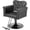 Black, variant on UBesGoo Hydraulic Salon Chair, Heavy Duty 360° Swivel Barber Styling Chair, Black Gold