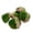 D, variant on CarpNettore 5 Pcs Artificial Fake Rocks Decorative for Potted Plants Indoor Outdoor DIY Lawn E