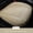 Beige, variant on Tianlaimei Deluxe Leather Car Front Seat Cover Front Bottom Seat Cushion Protector Chair Pad, 1pcs Black