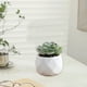 thumbnail image 5 of Mini planta suculenta artificial | Vegetación en maceta de imitación | Maceta de plástico | Multicolor | Decoración de escritorio falsa realista | Decoración de oficinas en casa | 10x6x6cm | 1 Pieza, 5 of 6