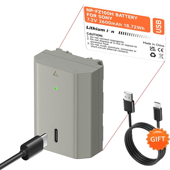 Digital Camera Battery 1 Pack NP-FZ100 Battery Bulit-in USB for Canon EOS 1100D 1500D 4000D Kiss X50/80/90 Rebel T3 T6 T7 Cameras with USB-C Input