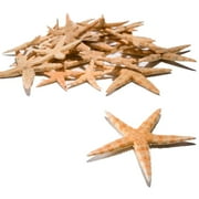 Starfish Assortment (30Pc) - Craft Supplies - 30 Pieces