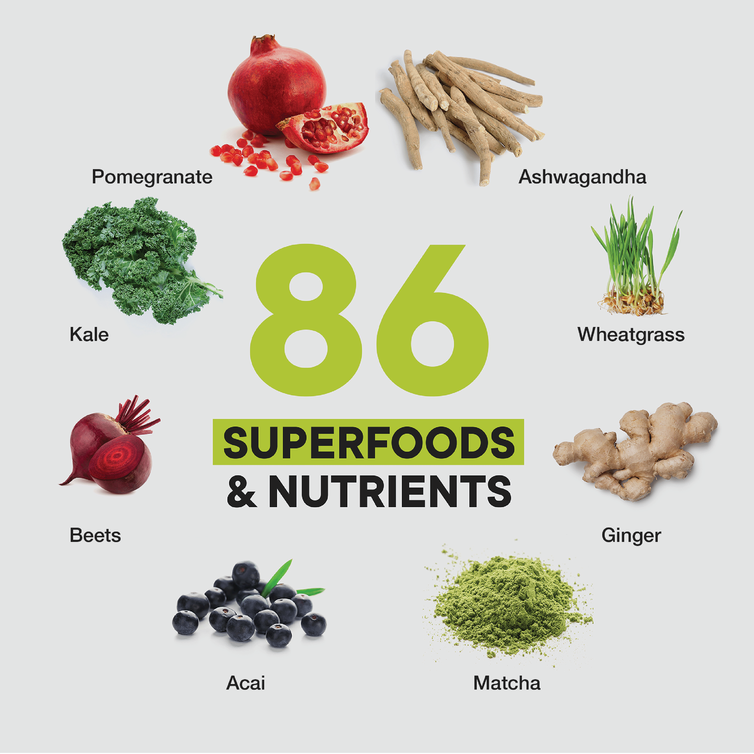 (2 pack) One Superfood Protein, 20g Plant Protein, Chocolate, 10 Servings