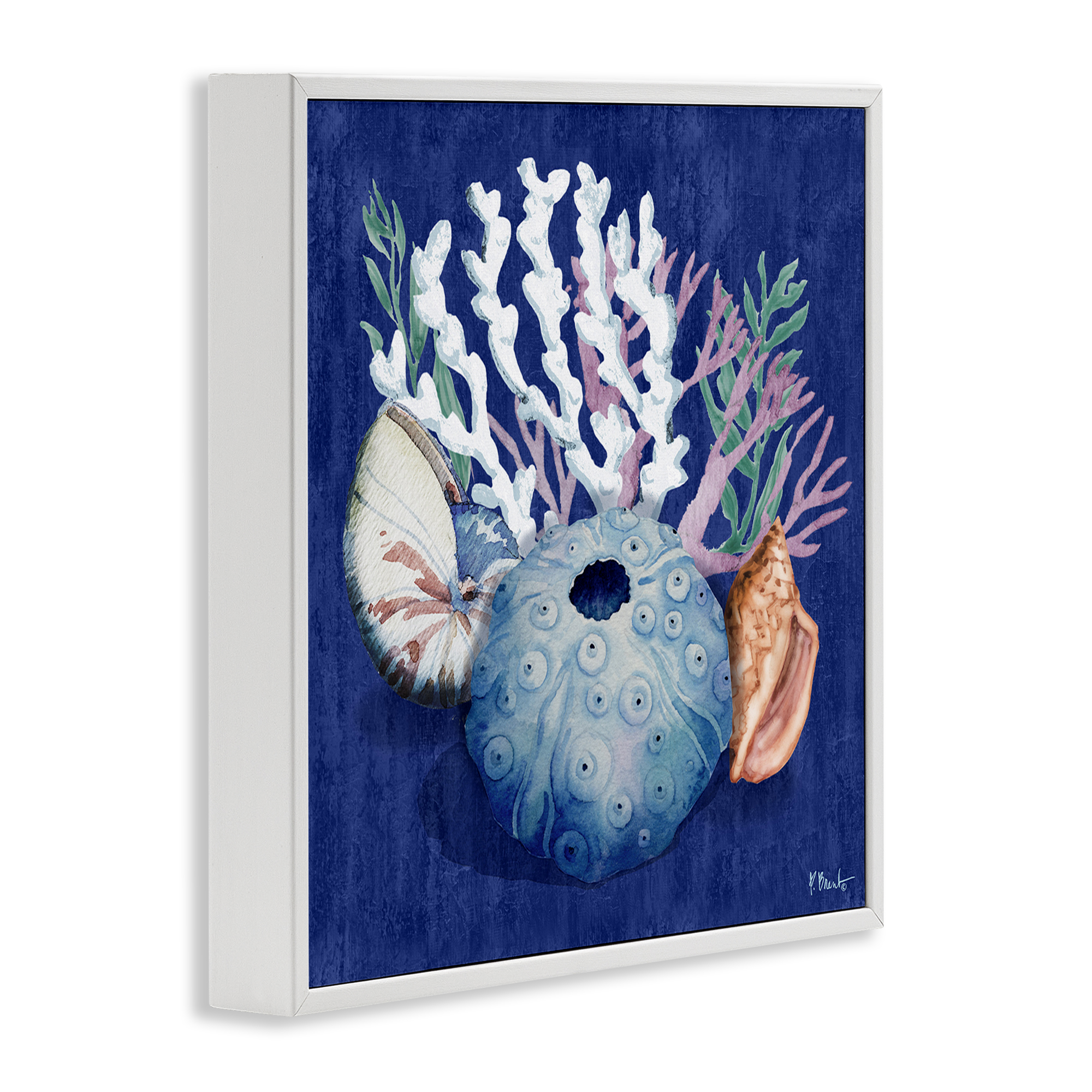 Stupell Industries Sea Urchin & Coral Coastal Painting White Framed Art Print Wall Art, 24 x 24
