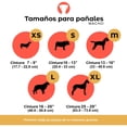 thumbnail image 2 of Pañales LAVABLES y REUTILIZABLES PERROS MACHO PETTING IS CARING 3 Pzs Talla Extra Grande PETTING IS CARING MALE NEW XL, 2 of 4