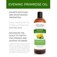 thumbnail image 2 of Evening Primrose Oil by Velona - 1 Gallon / 128 Fl Oz | 100% Pure and Natural Carrier Oil | Cold Pressed and Cold-Filtered | Moisturizing Face, Hair, Body and Skin Care | Use Today - Enjoy Results, 2 of 2
