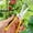 Yellow, variant on Garden Pruning Shears,Stainless Steel Trimming Scissors,Fruit Tree Scissors,Pruning Scissors for Flowers,Herbs Small Branches Ergonomic Gardening Tools