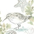 thumbnail image 2 of Vess, June Erica 12x12 Gold Ornate Wood Framed with Double Matting Museum Art Print Titled - Seaside Sandpipers II, 2 of 4