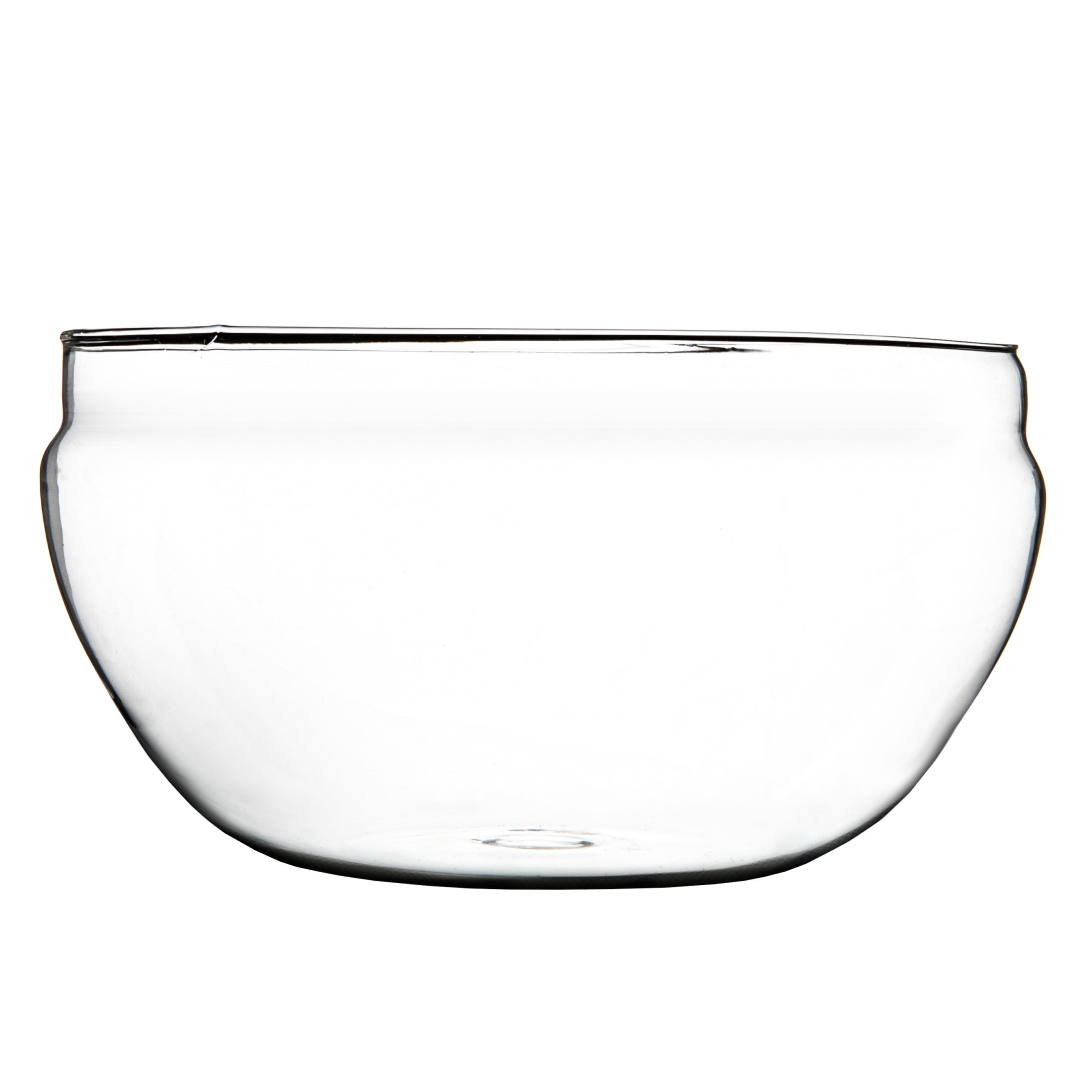 Bloomingville Large Egg Shaped Glass Terrarium, Clear