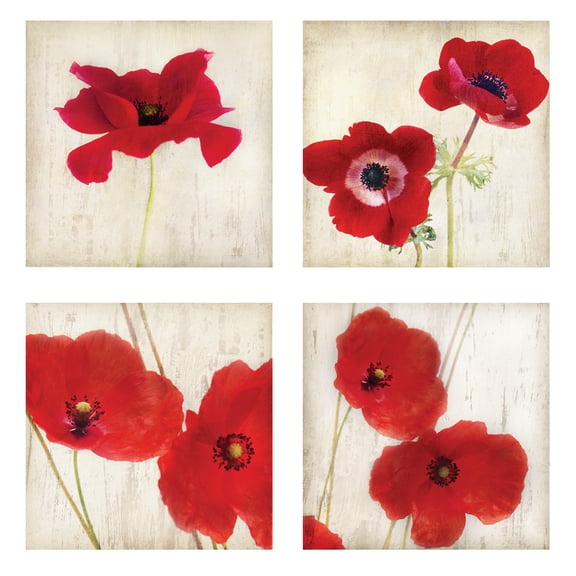 Off-White and Red California Poppy Adult Floral Decor; 4 - 12" x 12" Unframed Posters