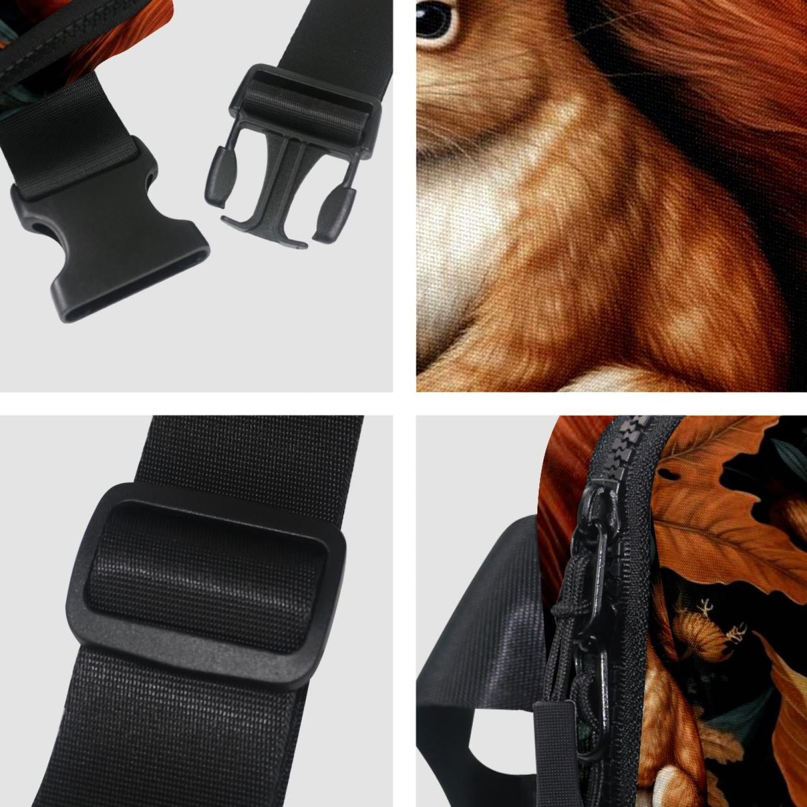 Squirrel Lightweight Adjustable Extension Strap Unisex Fanny Pack Waist Pack Cross Body Bag