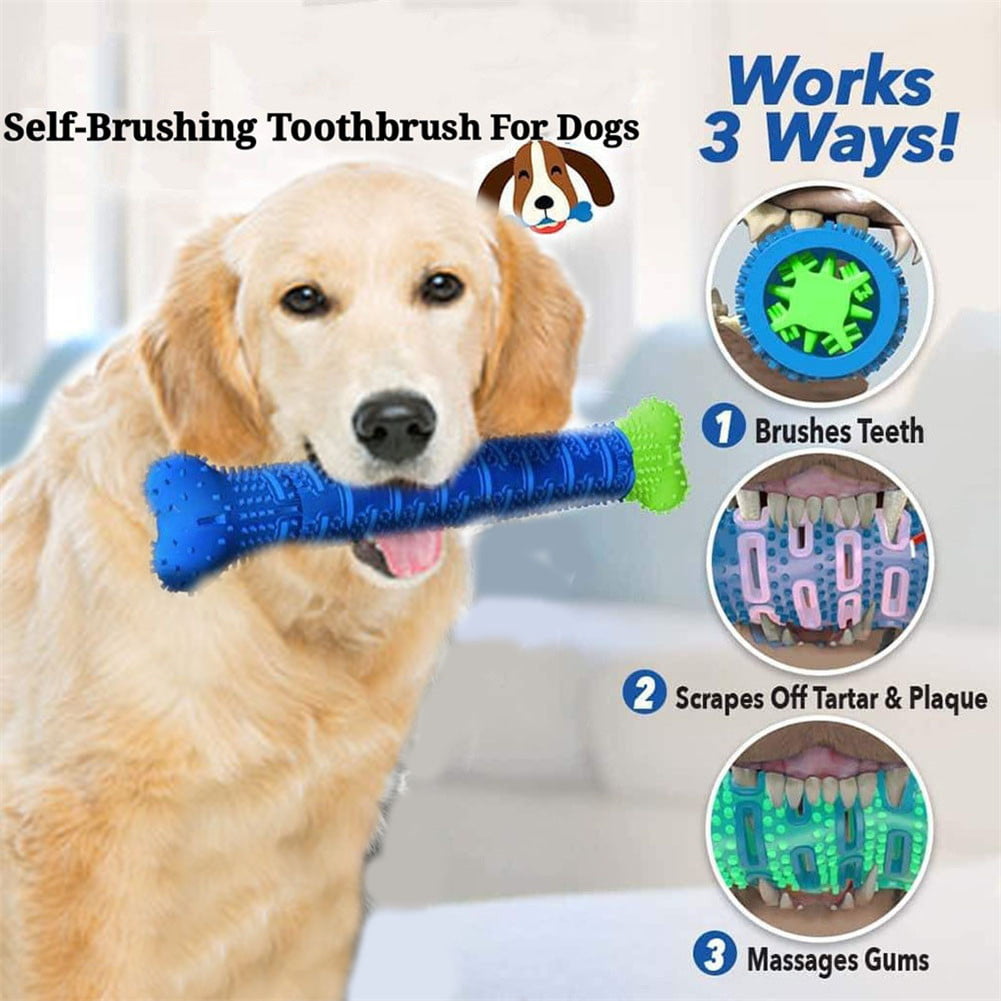 walmart dog toothbrush