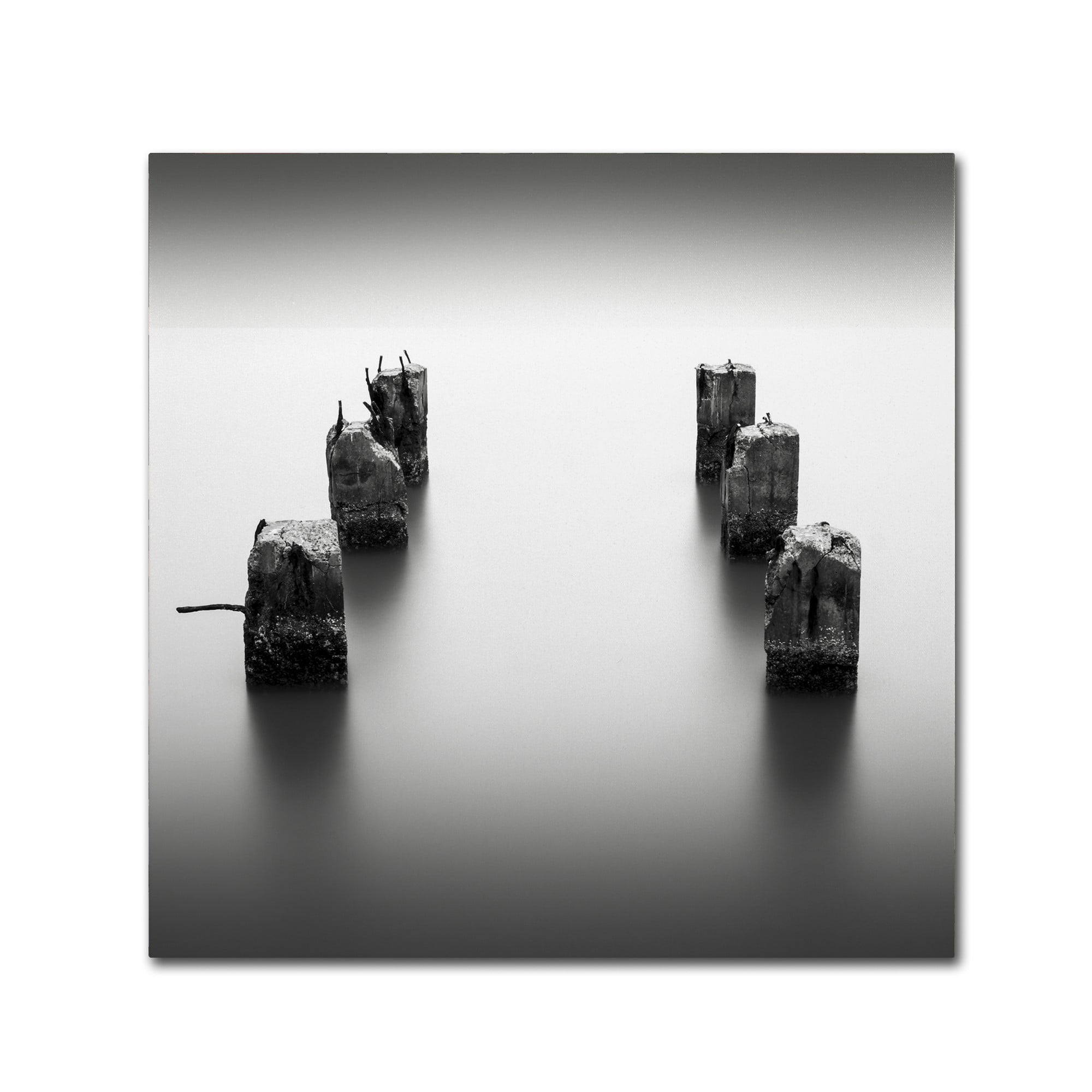 Trademark Fine Art Dave MacVicar 'Pillars' 35 x 35 (ALI0845-C3535GG)
