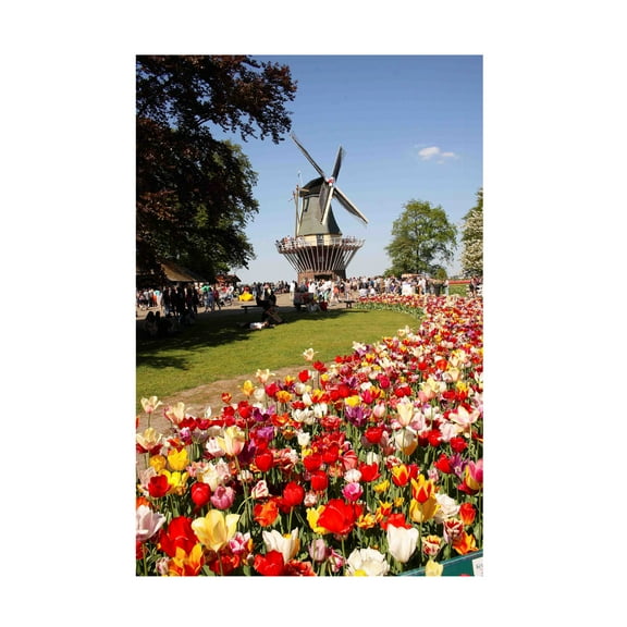 Canvas Wall Art - DANE 'Keukenhof Gardens 9' Wall Art for Living Room, Bedroom, or Office Décor by Trademark Fine Art - 12 x 19 Inches