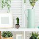 thumbnail image 5 of Planta de simulación planta en maceta simulación flor cactus bonsai decoración creativa planta verde, 5 of 5