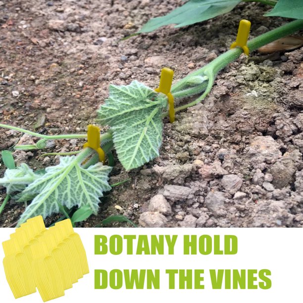 Tangnade Durable Fast Delivery The Plant Vine Fixing Fork Helps The Plant To Grow And The Gardening Supplies Walmart Com Walmart Com