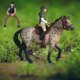 thumbnail image 1 of Figura de caballo Modelo caballo con silla de montar perfecl PVC Estilo A, 1 of 8
