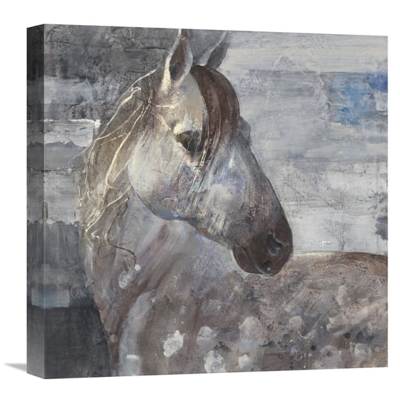 Global Gallery Albena Hristova 'Appaloosa' Canvas Wall Art