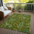 thumbnail image 6 of Addison Rugs Chantille Indoor/Outdoor Transitional Paisley Green Washable Rectangle Rug, 2'6" x 3'10", 6 of 6
