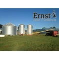 Homestead Harvest Ernst Grain Whole Corn Perfect Feed for Deer