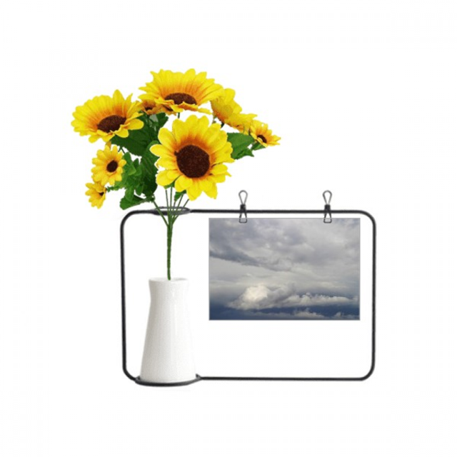 Dark Clouds Overcast Vast Wind Weather Artificial Sunflower Vases Bottle Blessing Card