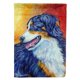 thumbnail image 1 of Lienzo con bandera de pastor australiano grande multicolor Caroline's Treasures 7288CHF, 1 of 1
