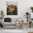 thumbnail image 3 of Stupell Industries Highland Cow Photography Animals & Insects Photography Gallery Wrapped Canvas Print Wall Art, 36 x 48, 3 of 8