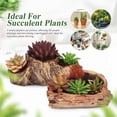 thumbnail image 3 of LOLIPPYY 2Pcs Succulent Pots Cement Planters with Tree Stump Design Coffee Color for Garden Use, 3 of 8