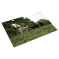 thumbnail image 3 of Print: Barns And Rural Scenes On Route 11 Near Gadsden, Alabama, 2010, 3 of 4