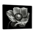 thumbnail image 2 of Designart "Monochrome Misty Poppies" Poppies Floater Framed Wall Decor, 2 of 5