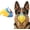 Yellow-blue, variant on Dog Muzzle for Large & Medium Sized Dogs, Bite Proof & Anti Licking - Soft TPR Safety Muzzle with Adjustable Hawk-Beak Design for Walking, Grooming, Vet Visits, Gentle and Breathable