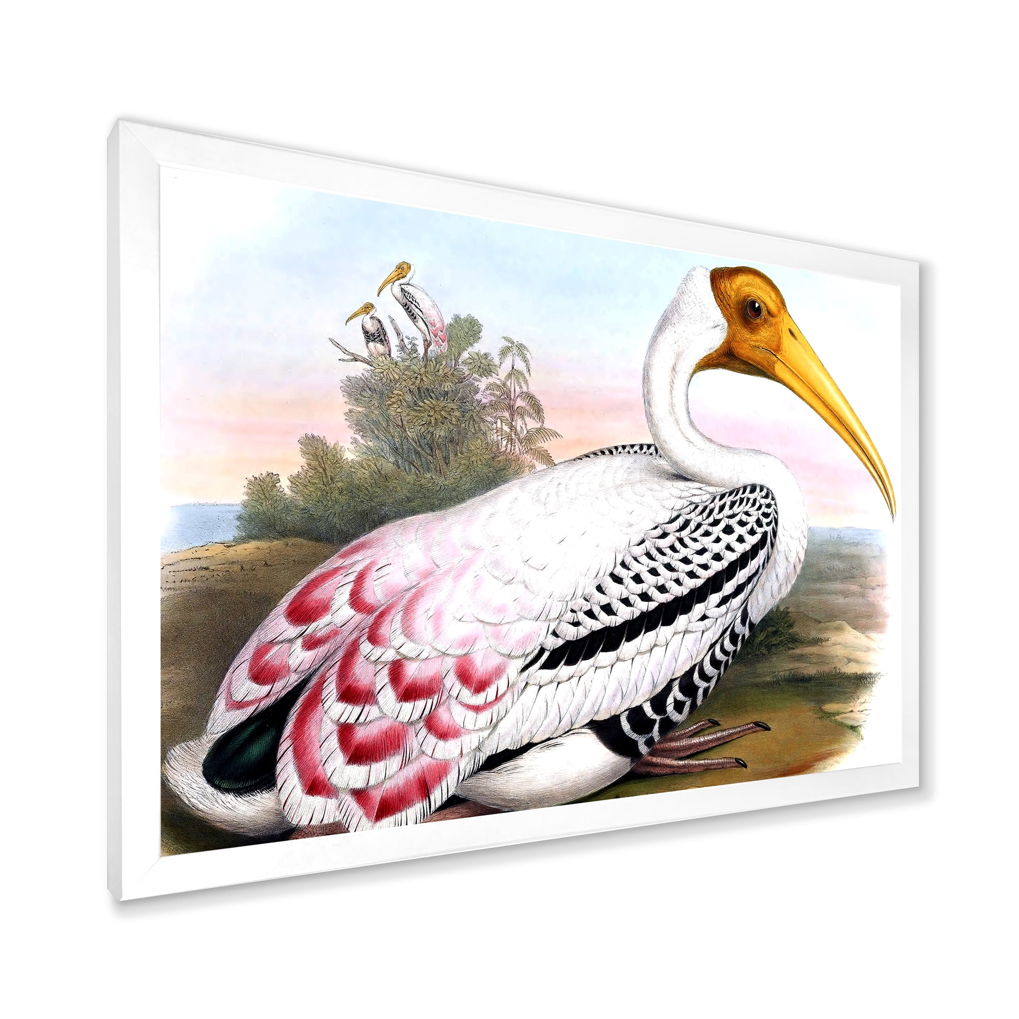 Designart 'Vintage Countryside White Birds' Farmhouse Framed Art Print