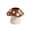 02_Cute Mushroom Pen Holder Brown, variant on Pen Holder Cute Mushroom, Desktop Stationery Organizer, Adorable Makeup Brush Holder for Office Campus Decor by PALIFEUR