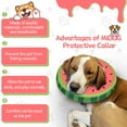 thumbnail image 5 of MIDOG Adjustable Polyester Neck Brace Collar for Cat & Dog, Dog Cone Collar for Small Medium Large Dogs After Surgery, Extra Large, Watermelon Red, 5 of 8