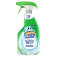 thumbnail image 3 of 32 fl oz Multi-Surface Sanitizing Foam Cleaner, Foaming Bleach Spray for Bathroom, 3 of 7