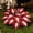 d, variant on Rainbow Hosta Bulk-Garden Stake for Outdoor Decoration-Accent-for Patio and Walkways