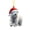 A003- C, variant on Christmas Ornament Lion Wearing Santa Hat Hanging Decor for Christmas Tree Holiday Season Home Party Decoration Unique Festive Hanging Accent for Friends and Family